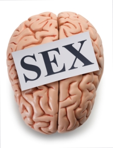 Sex and the Human Brain